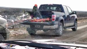 10665302_10205055076395053_5062622553496280452_n